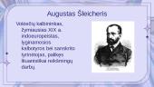 Augustas Šleicheris (skaidrės) 3 puslapis