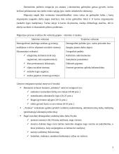 Tarptautinė problema: Darbo jėgos migracijos pasekmės Lietuvoje 4 puslapis