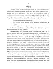 Tarptautinė valiutų rinka 2 puslapis