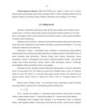 Tarptautinė valiutų rinka 12 puslapis