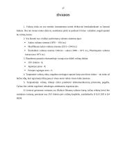 Tarptautinė valiutų rinka 17 puslapis