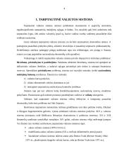 Tarptautinė valiutų rinka 4 puslapis