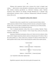 Tarptautinė valiutų rinka 10 puslapis