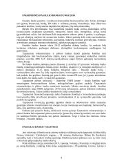 Tarptautinės ekonominės organizacijos 4 puslapis