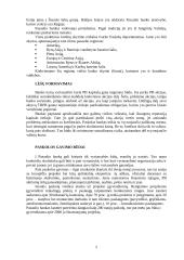 Tarptautinės ekonominės organizacijos 5 puslapis