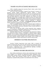 Tarptautinės organizacijos pasaulyje 9 puslapis