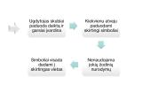 PEC‘s sistemos  įgyvendinimas 14 puslapis