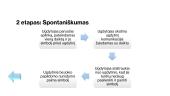 PEC‘s sistemos  įgyvendinimas 9 puslapis