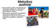 Meksikos tradiciniai patiekalai 5 puslapis