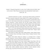 Tarptautinės organizacijos ir jų veikla 2 puslapis