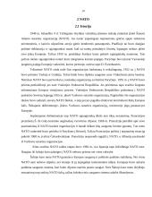 Tarptautinės organizacijos ir jų veikla 12 puslapis