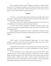 Tarptautinės organizacijos ir jų veikla 13 puslapis