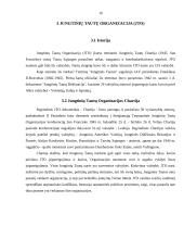 Tarptautinės organizacijos ir jų veikla 17 puslapis