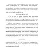 Tarptautinės organizacijos ir jų veikla 19 puslapis