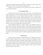 Tarptautinės organizacijos ir jų veikla 20 puslapis