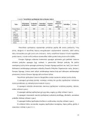 Tarptautinės prekybos apribojimo teorija 13 puslapis