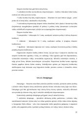 Tarptautinės prekybos apribojimo teorija 20 puslapis