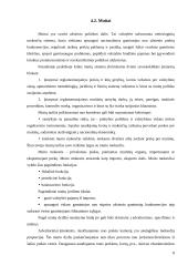 Tarptautinės prekybos apribojimo teorija 8 puslapis