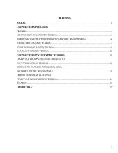 Pagrindinės tarptautinės prekybos ir investavimo teorijos 2 puslapis