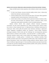 Pagrindinės tarptautinės prekybos ir investavimo teorijos 13 puslapis