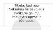 Sekminių tradicijos Lietuvoje 3 puslapis