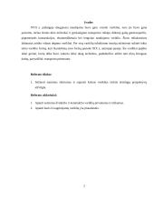 Dvitakčiai ir keturtakčiai varikliai 2 puslapis