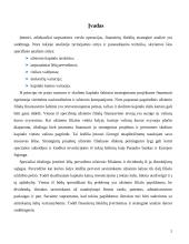 Tarptautiniai finansinių išteklių aspektai 2 puslapis