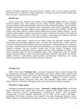 Tarptautiniai finansinių išteklių aspektai 4 puslapis