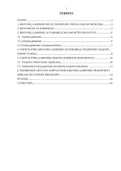 Tarptautiniai krovinių gabenimai automobilių transportu 2 puslapis
