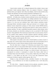 Tarptautiniai krovinių gabenimai automobilių transportu 3 puslapis