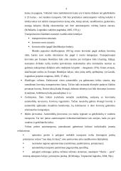 Tarptautiniai krovinių gabenimai automobilių transportu 5 puslapis