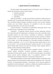 Tarptautiniai krovinių gabenimai automobilių transportu 6 puslapis