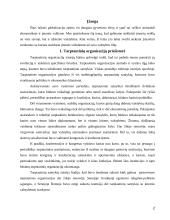 Tarptautiniai ryšiai nuo imperijų iki šiandieninių globalių susivienijimų 2 puslapis