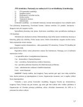 Tarptautiniai ryšiai nuo imperijų iki šiandieninių globalių susivienijimų 17 puslapis