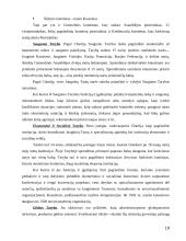 Tarptautiniai ryšiai nuo imperijų iki šiandieninių globalių susivienijimų 19 puslapis