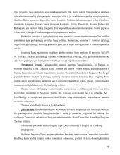 Tarptautiniai ryšiai nuo imperijų iki šiandieninių globalių susivienijimų 20 puslapis