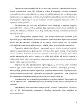 Tarptautiniai ryšiai nuo imperijų iki šiandieninių globalių susivienijimų 9 puslapis