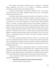 Tarptautiniai ryšiai nuo imperijų iki šiandieninių globalių susivienijimų 10 puslapis