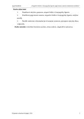 Pagyvenusių asmenų, sergančių širdies ir kraujagyslių ligomis, maitinimosi priežiūra 3 puslapis