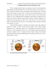 Pagyvenusių asmenų, sergančių širdies ir kraujagyslių ligomis, maitinimosi priežiūra 4 puslapis