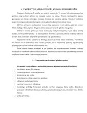 Tarptautinio verslo teisinė aplinka 3 puslapis