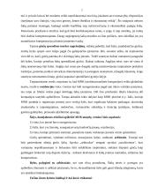 Tarptautinio verslo teisinė aplinka 6 puslapis