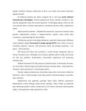 Tarptautinis euro vaidmuo 2 puslapis