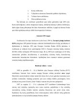 Tarptautinis euro vaidmuo 4 puslapis