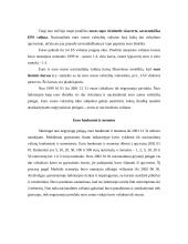 Tarptautinis euro vaidmuo 6 puslapis