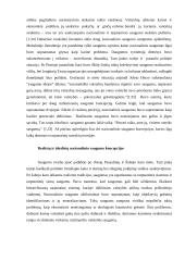 Tarptautinis terorizmas – grėsmė pasaulio bendruomenei 12 puslapis