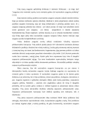 Tarptautinis terorizmas – grėsmė pasaulio bendruomenei 13 puslapis