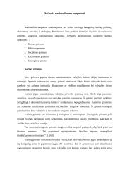 Tarptautinis terorizmas – grėsmė pasaulio bendruomenei 16 puslapis