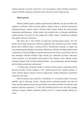 Tarptautinis terorizmas – grėsmė pasaulio bendruomenei 17 puslapis