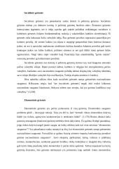 Tarptautinis terorizmas – grėsmė pasaulio bendruomenei 18 puslapis